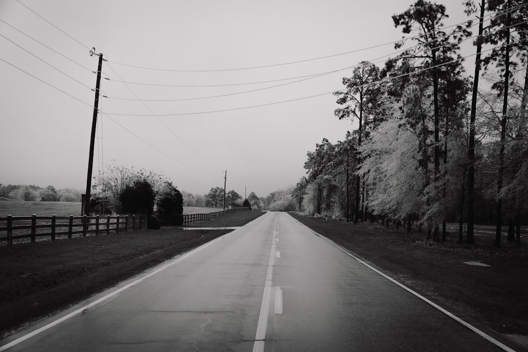 Multa em Carro Alugado: Quem Paga e Como Indicar o Condutor?